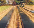 /album/galerie-foto-ce-propunem/plastic-mulch2-jpg/